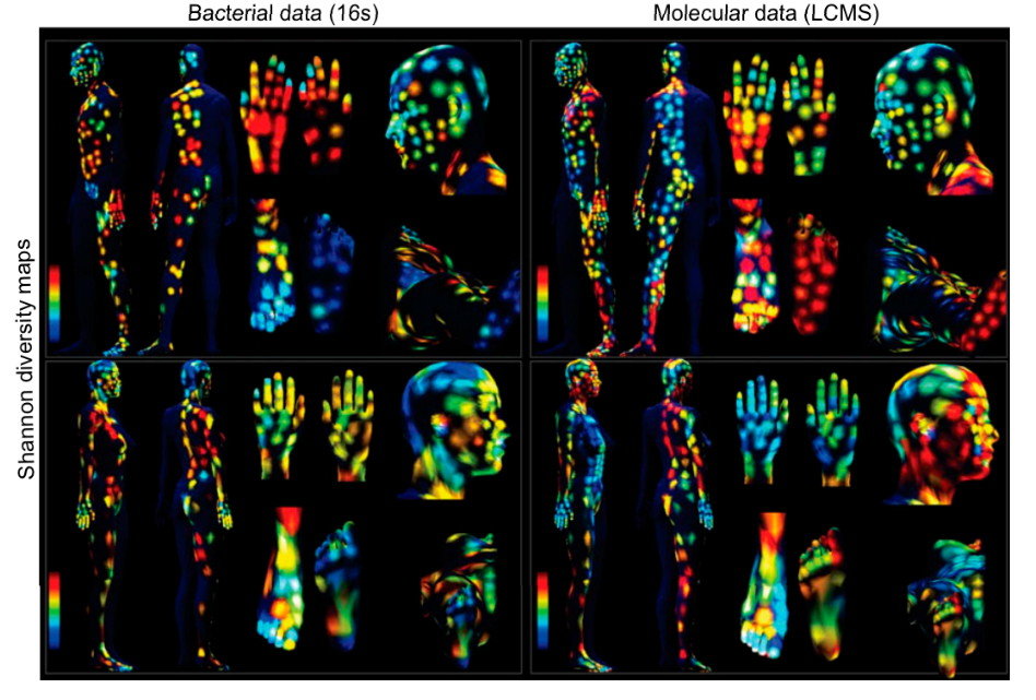 Click to enlarge microbes