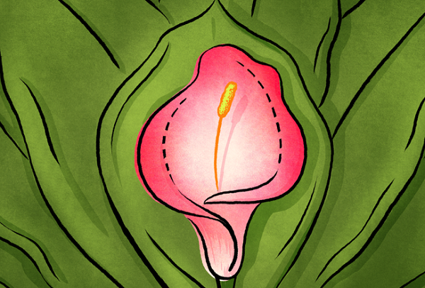 Click to enlarge flower