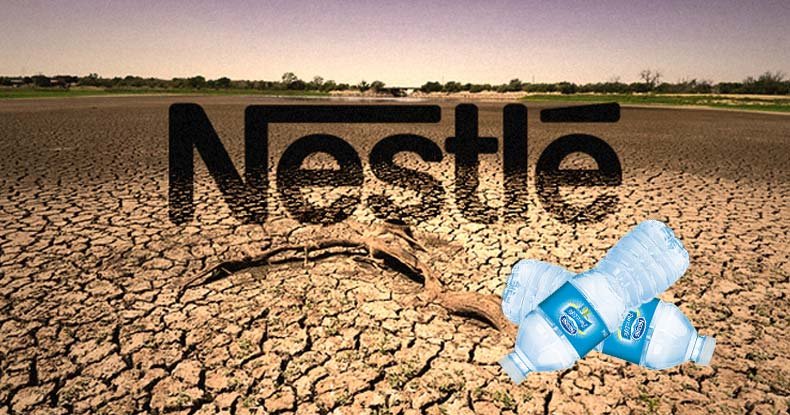 nestle