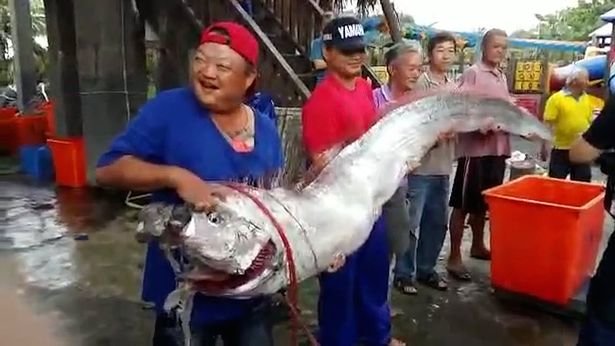 The fish weighed a whopping seven stone 