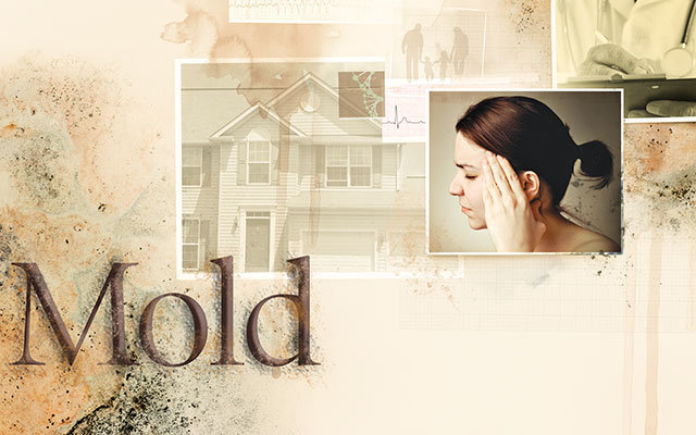 mold