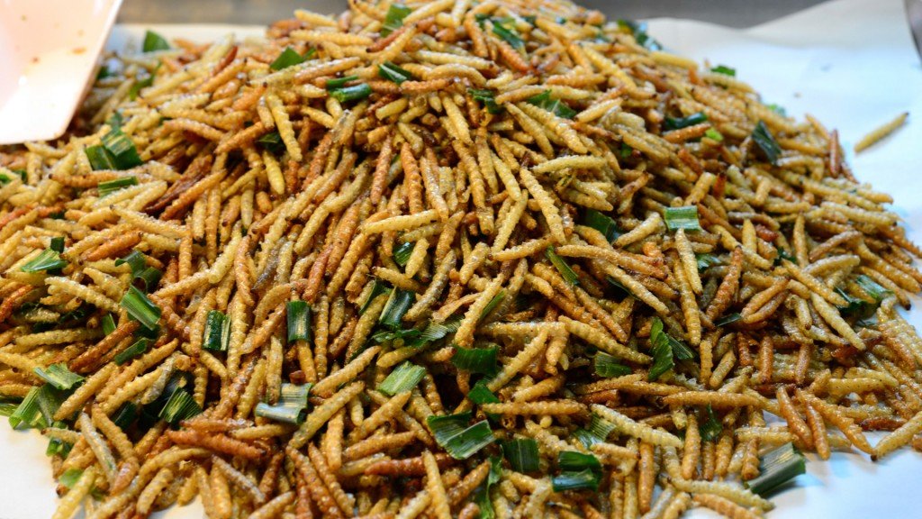 Click to enlarge meal worms