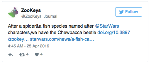 Click to enlarge Chewie twitter