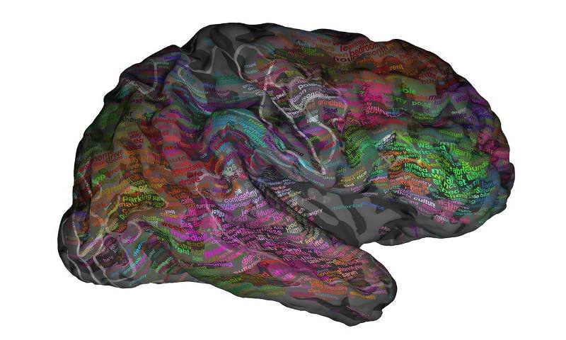 brain map vocabulary