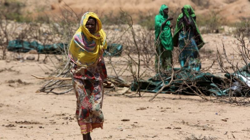 Hyenas Attack Starving Women As Drought Hits