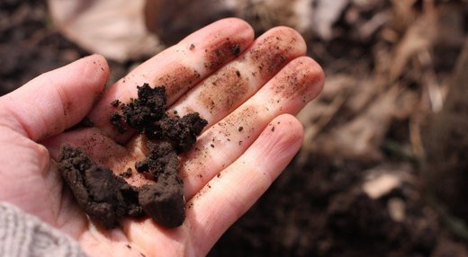 dirt