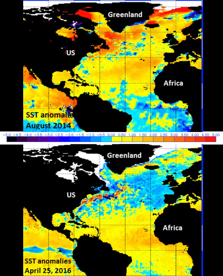 Click to enlarge Atlantic Ocean Temperatures