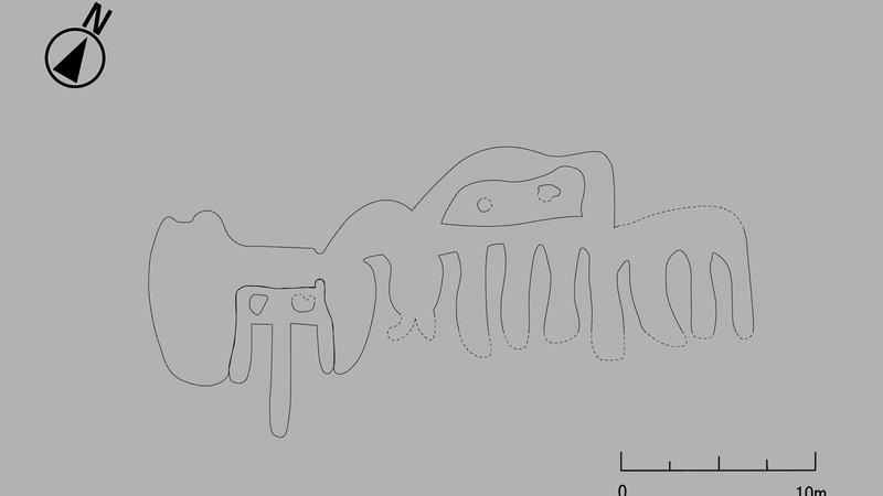 Unknown Nazca Creature