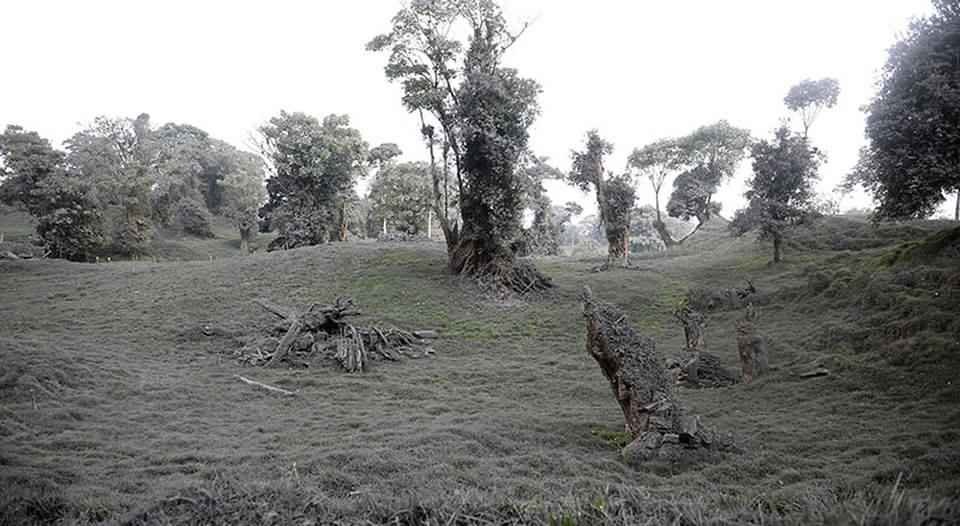 Turrialba volcano ash cover