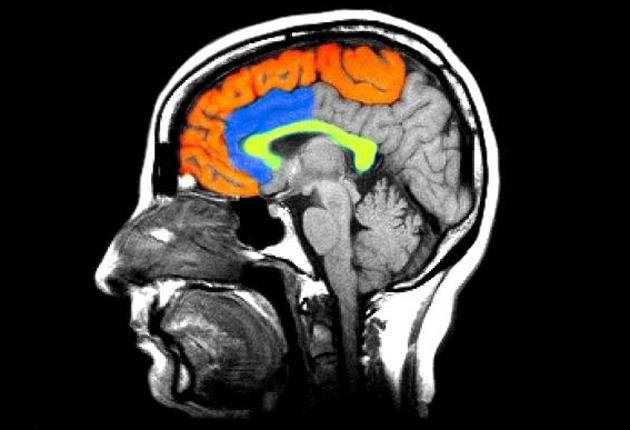 yeast infections mental illness