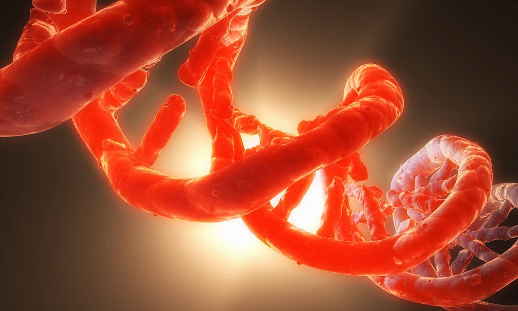 Click to enlarge Genetic Code DNA