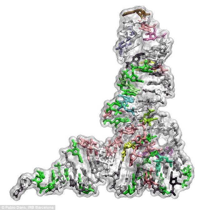 Click to enlarge genetic code has been frozen
