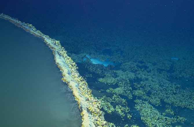 brine lake gulf mexico, jacuzzi of despair