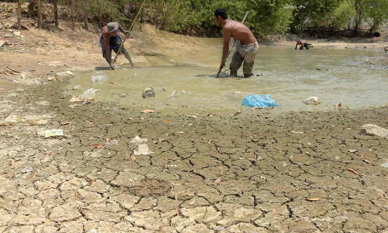  Cambodian men use a net to catch fish in a nearly dried pond at a village in Kandal province.