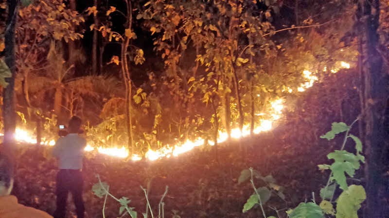 A wildfire