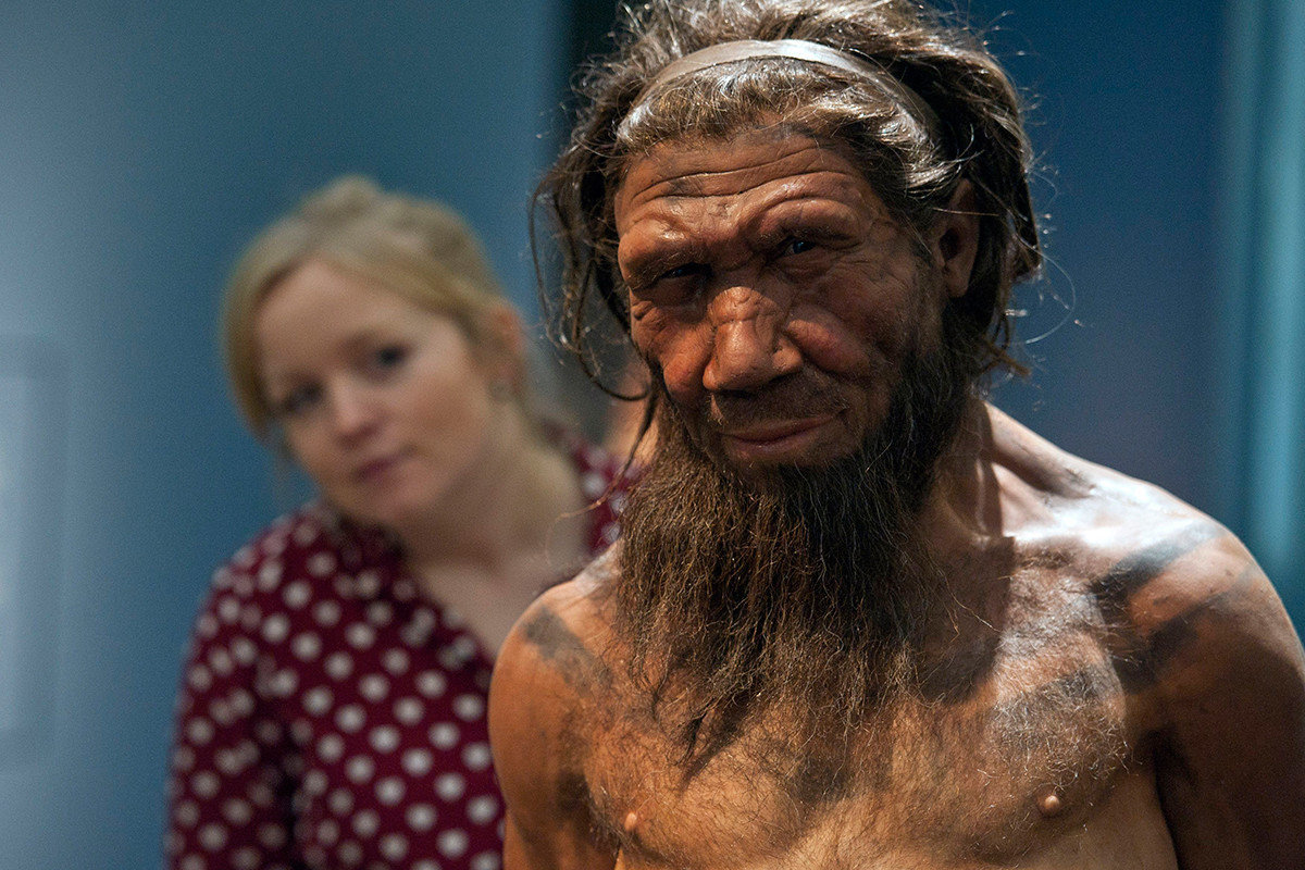 Click to enlarge y chromosome missing neanderthals