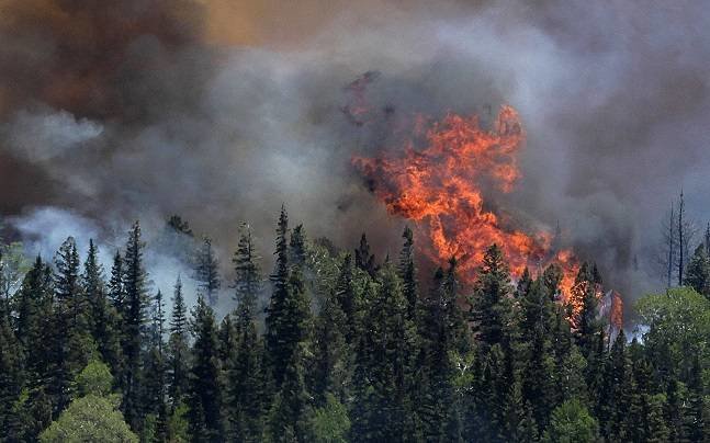 Arizona forest fire. 