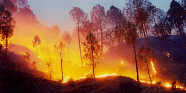 Wildfires in the Himalayan range. 