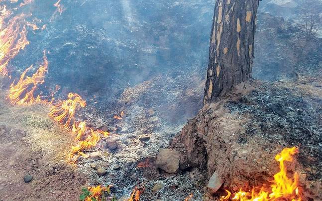 Himachal Pradesh forest fires.