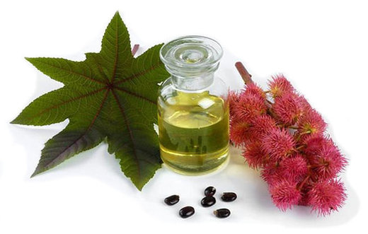 Click to enlarge castor oil