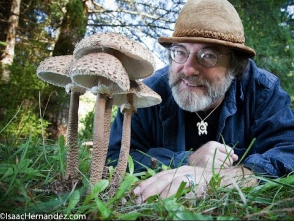 Click to enlarge Paul Stamets