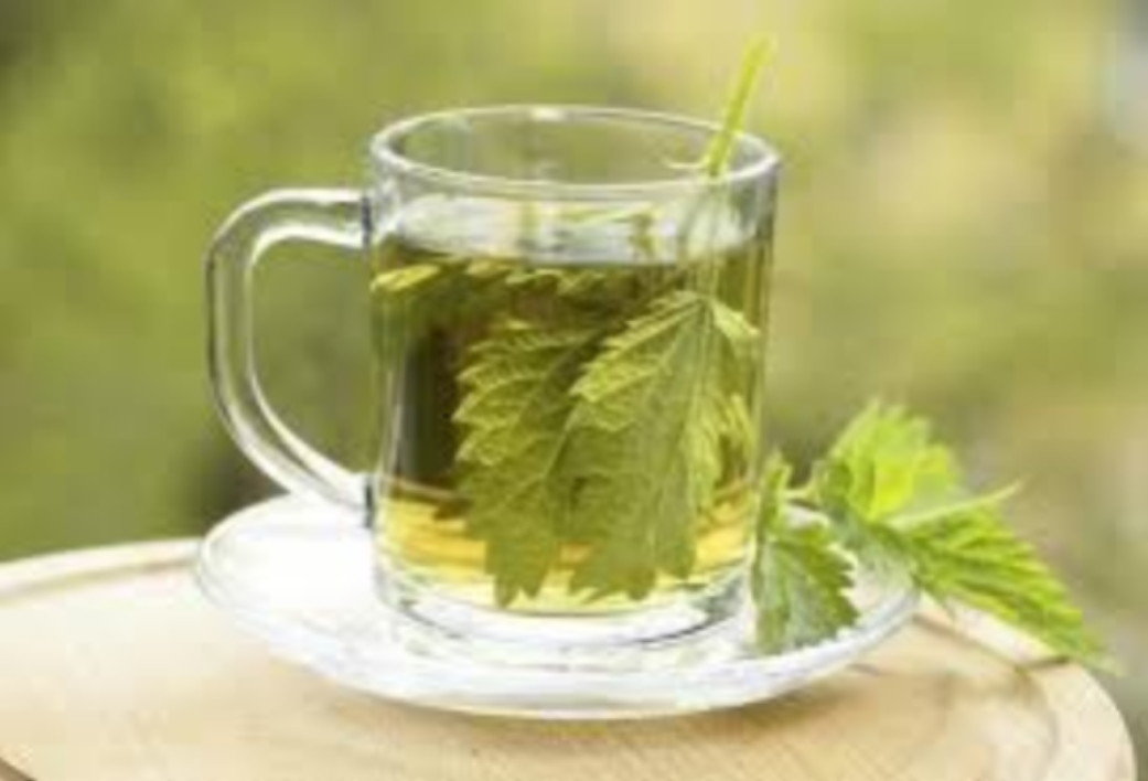Click to enlarge nettle tea