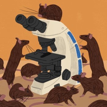 Click to enlarge rat TB detection