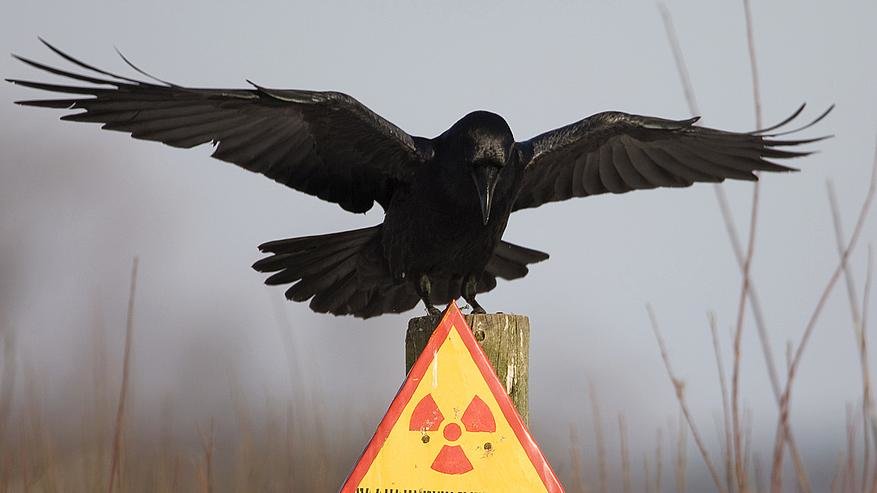 radiation sign