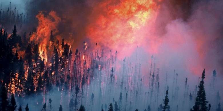 fort mcmurray wildfire