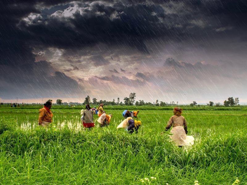 Click to enlarge traditional farm india