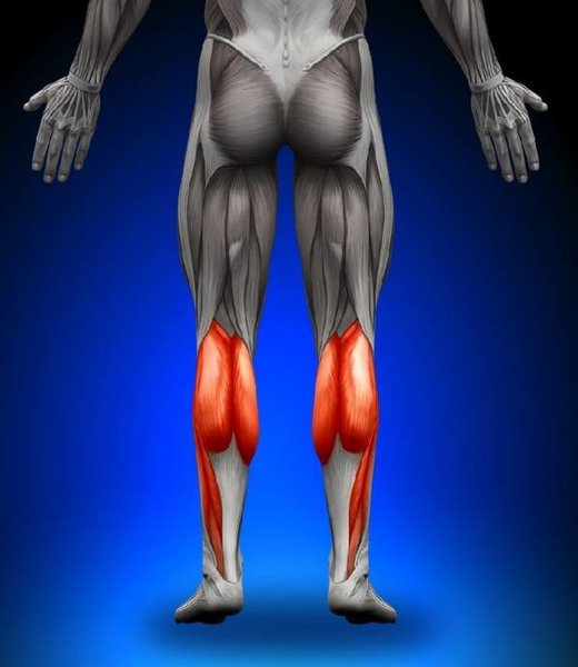 fascia