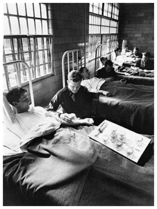 Click to enlarge Patients exposed to Malaria