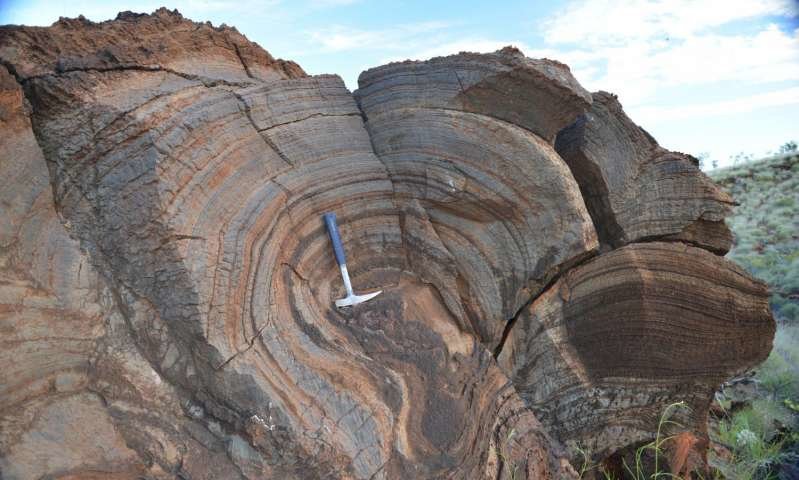 Click to enlarge Stromatolite