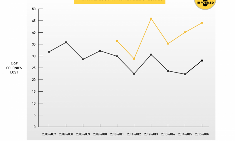 chart bee losses