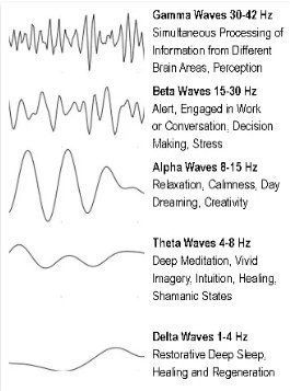 beta waves