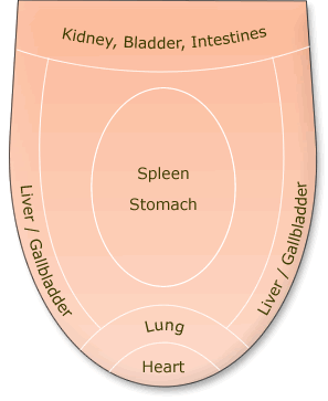 Click to enlarge tongue diagnosis