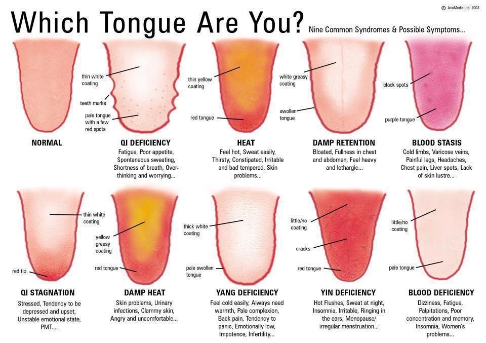 tongue infographic
