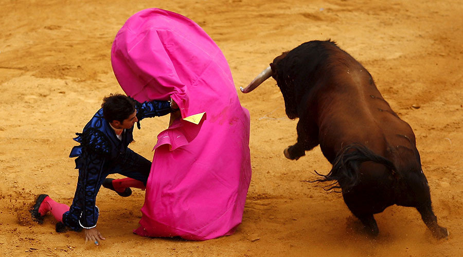 bullfighting