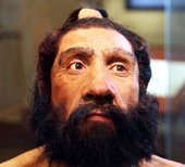 Click to enlarge neanderthal reconstruction