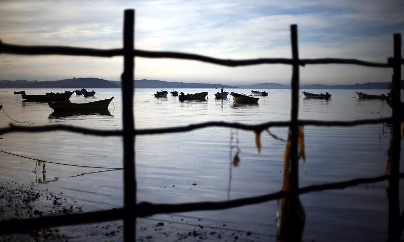 Click to enlarge chile red tide fishing disaster