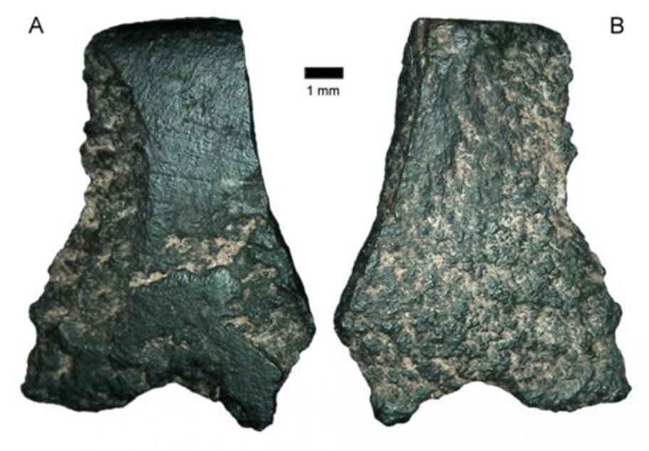 worlds oldest axe