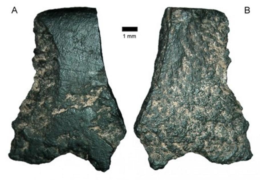 Click to enlarge worlds oldest axe