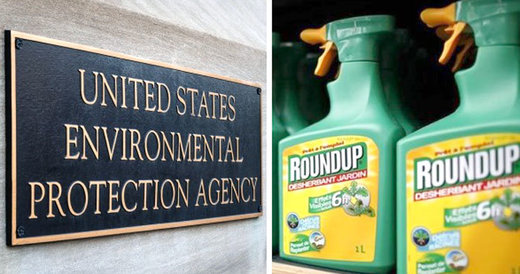 Click to enlarge EPA Monsanto