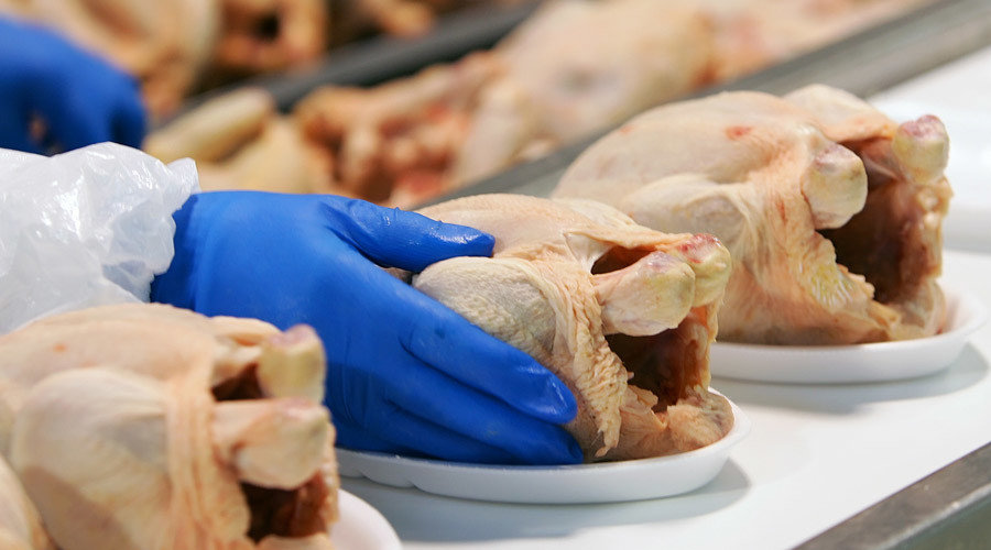 Poultry worker