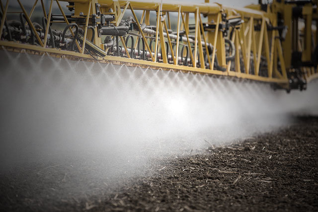 Click to enlarge Syngenta