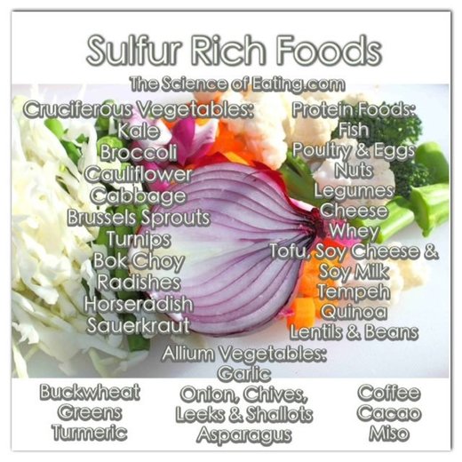 sulfur rich foods
