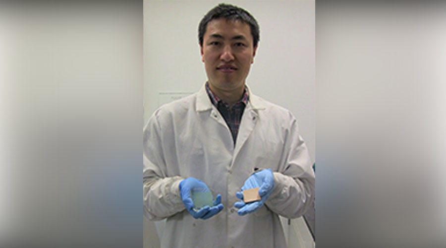 Click to enlarge scientist see-through wood