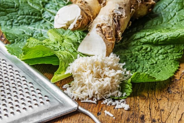 horseradish root