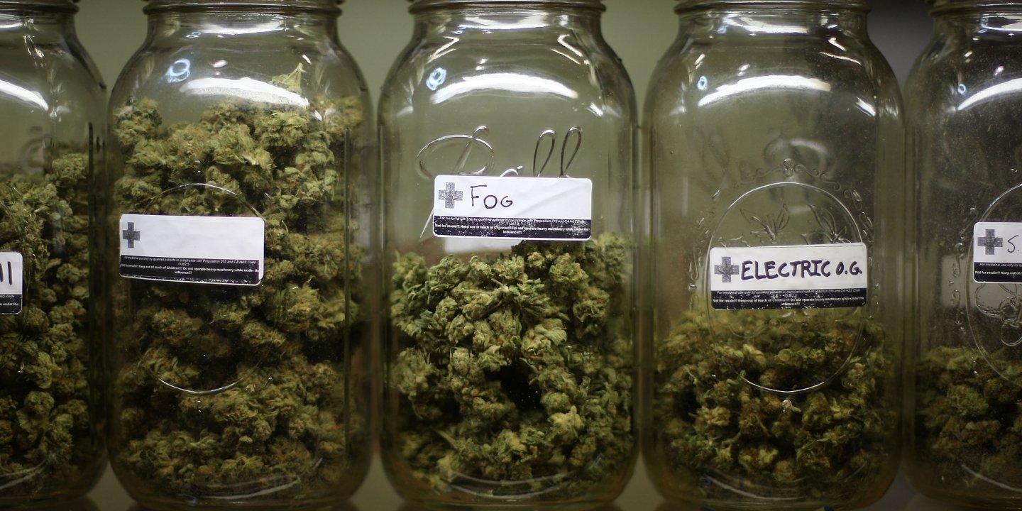 Click to enlarge marijuana in jars
