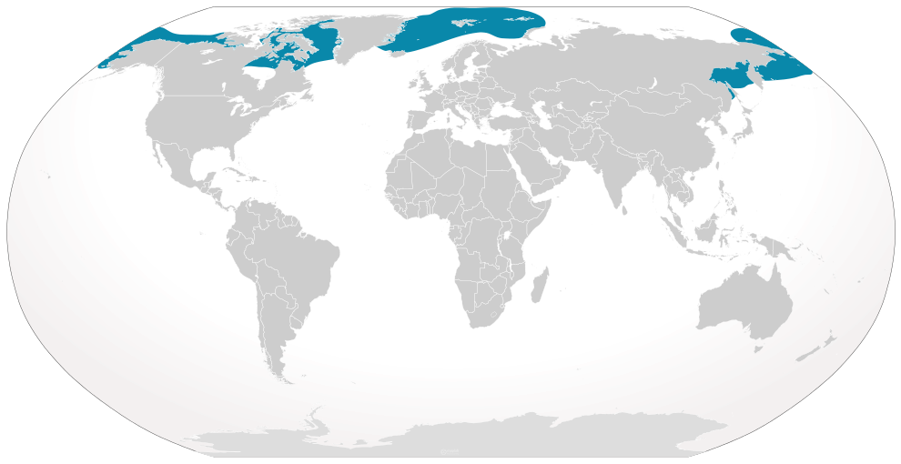 Range of bowhead whale (Balaena mysticetus).